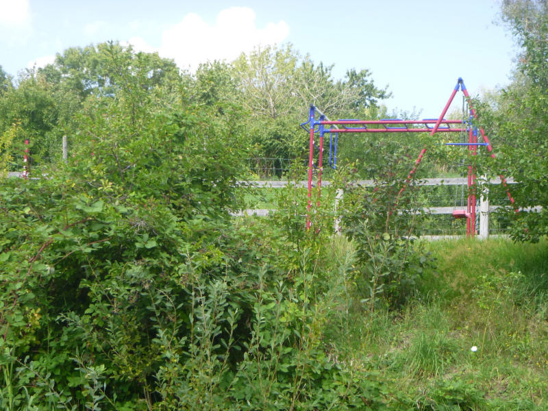 Blick zum Spielplatz